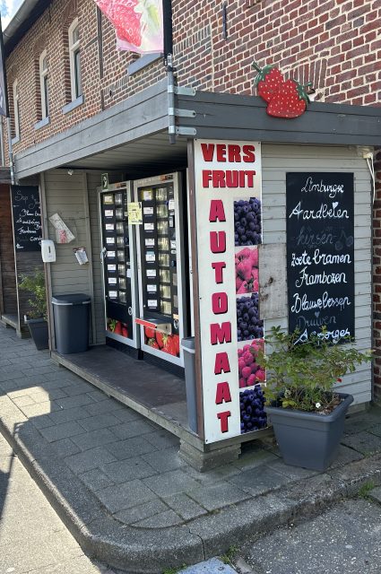 Dutch Mountain Trail fruitautomaat