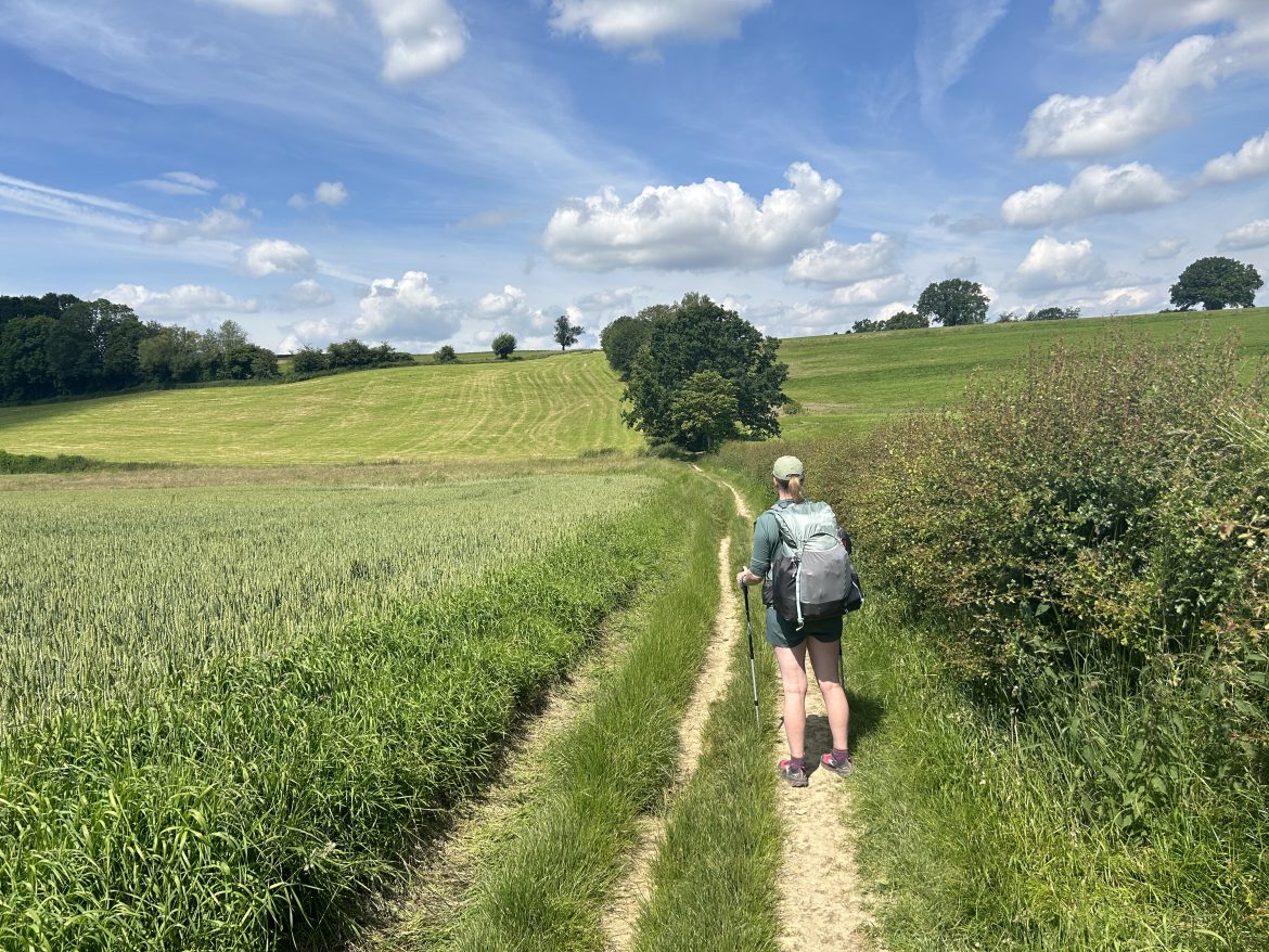 Dutch Mountain Trail graslanden