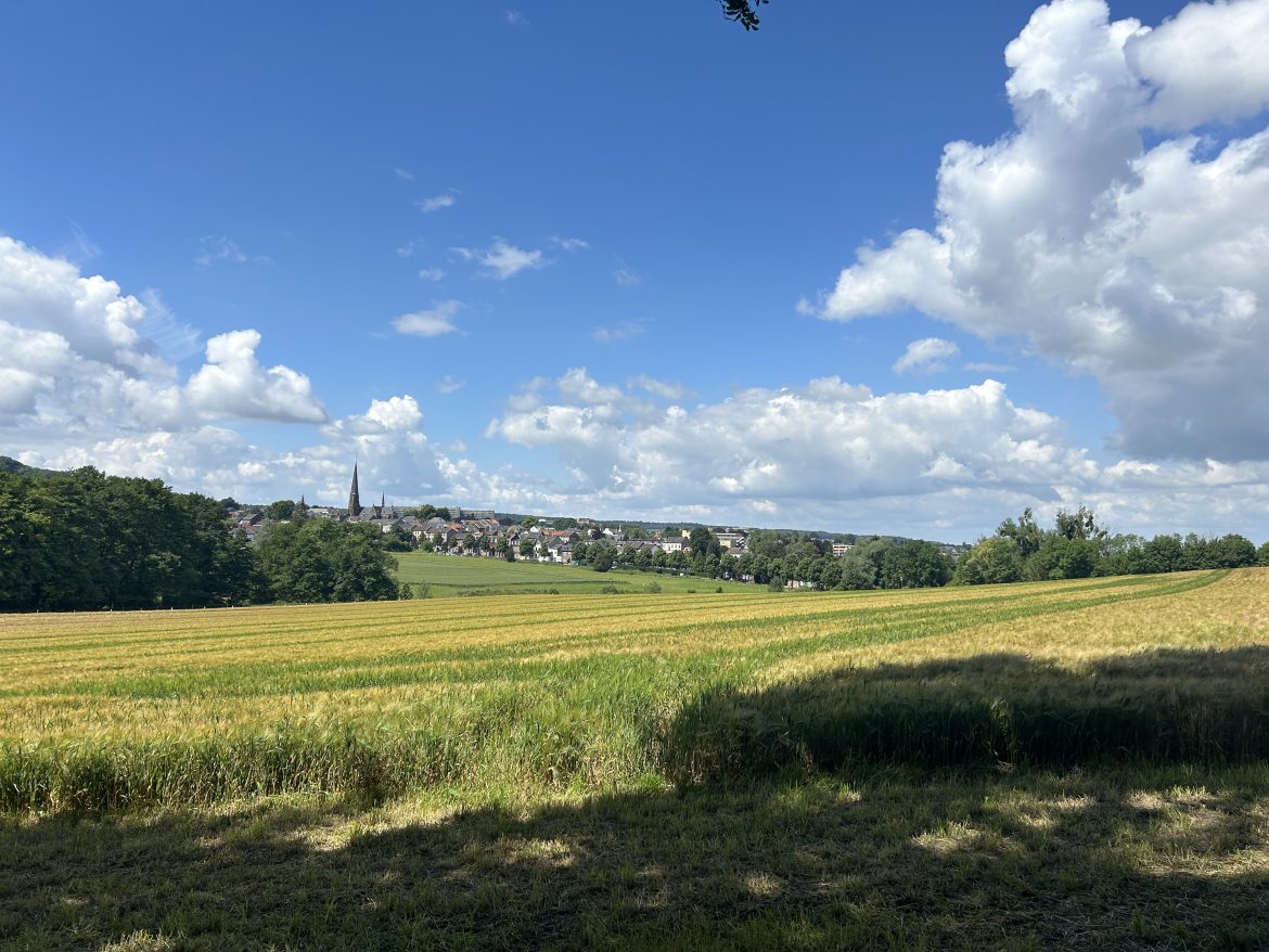 Dutch Mountain Trail uitzicht